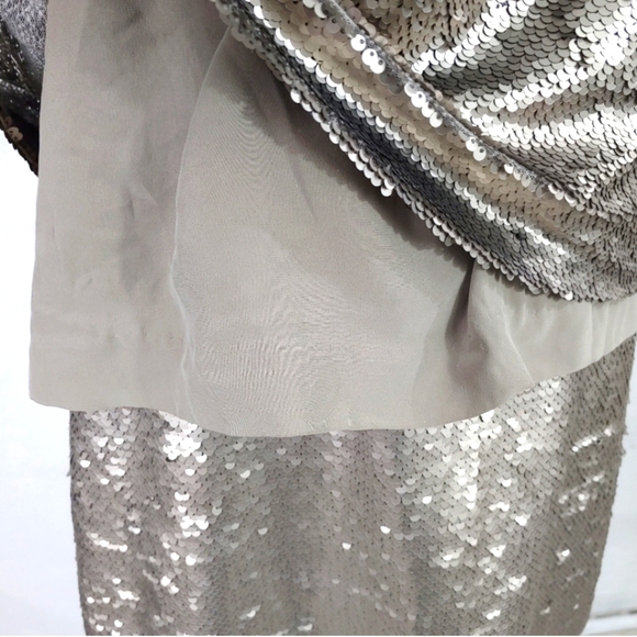 Banana Republic Silver Sequin Chiffon Party Cockta - Picture 10 of 11